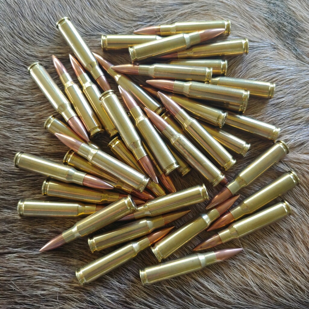 7.62x51mm NATO XM80C Federal Lake City 149gr. Full Metal Jacket Ammo